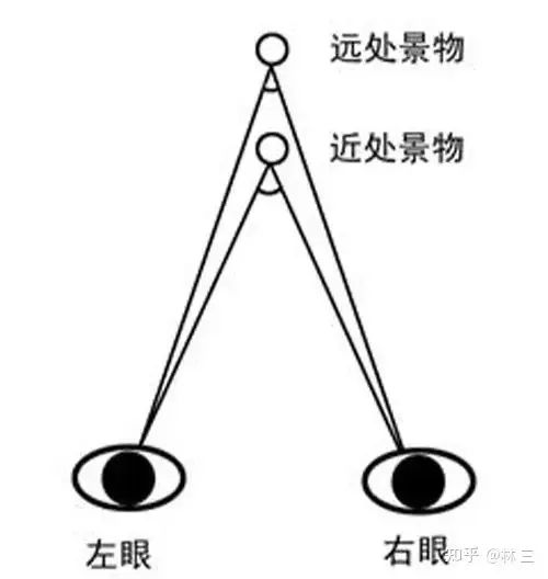 为什么食肉动物眼睛长在前面,食草动物却在两边?