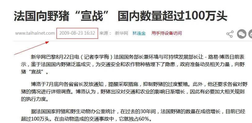 看起来憨厚老实的猪,为什么没在进化中灭绝?