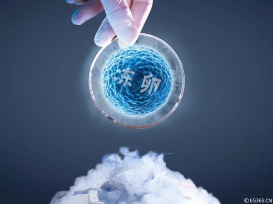 守护生命起源的健康:如何破解人类生育力下降难题